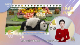 日韩精品你懂的在线播放